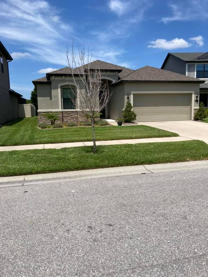 House with green lawn, gray exterior, brown roof, and leafless tree in front. Bright blue sky.