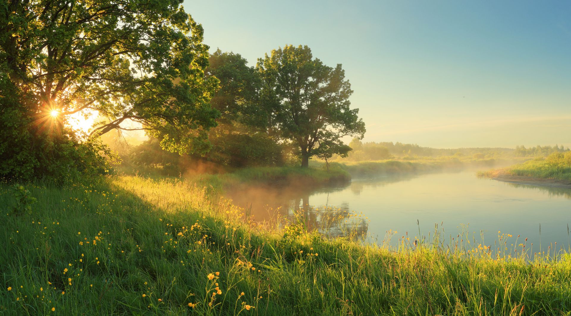 Sun peeking through trees, illuminating a misty river and green grassy bank.
