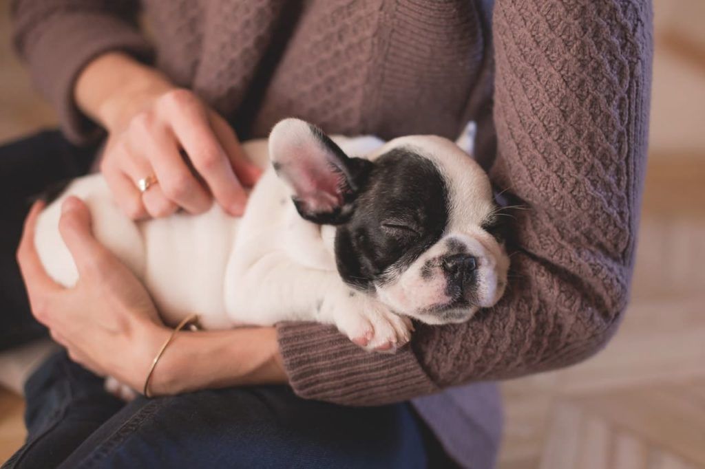 A woman is holding a black and white puppy with its eyes closed