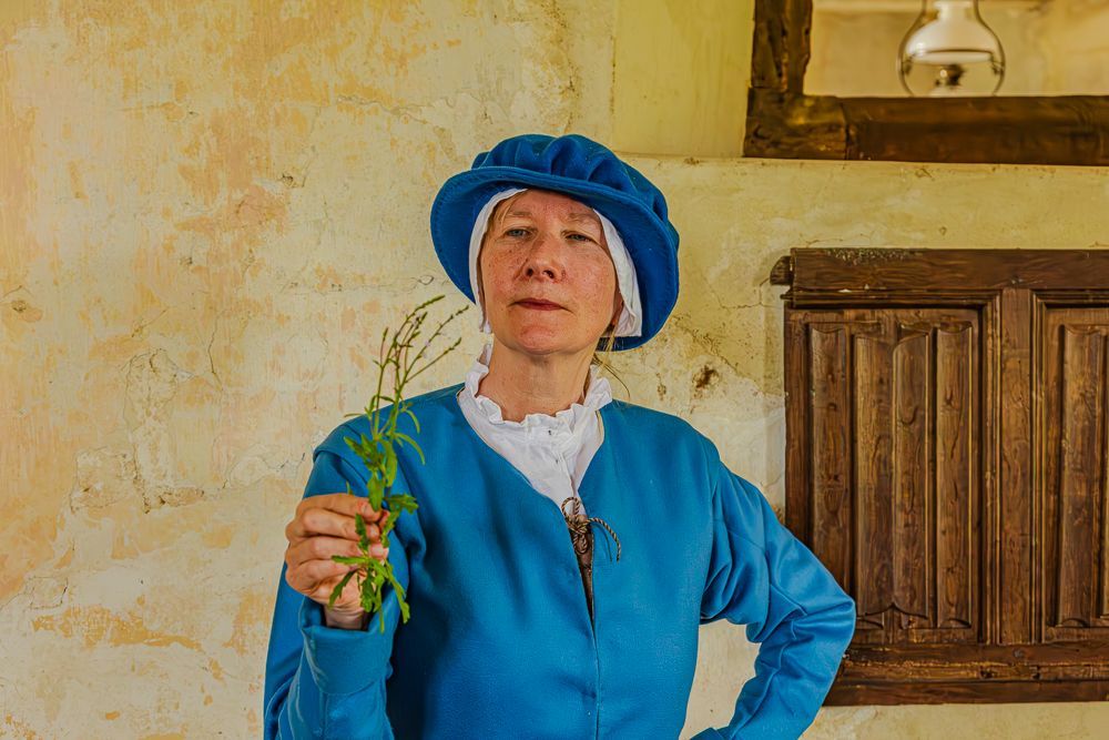 Medieval and Tudor Plants with Mary Macdonald