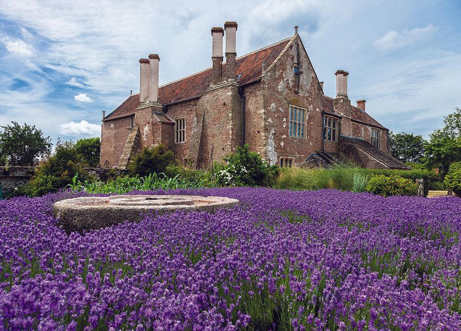 House and Grounds of Acton Court