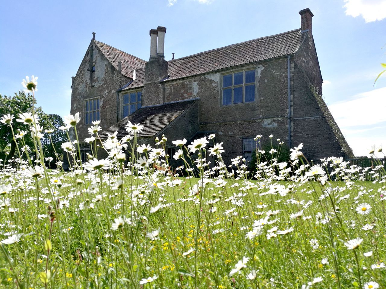 House and Grounds at Acton Court