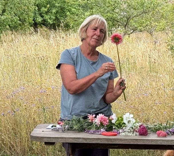 Tudor plants and herbs