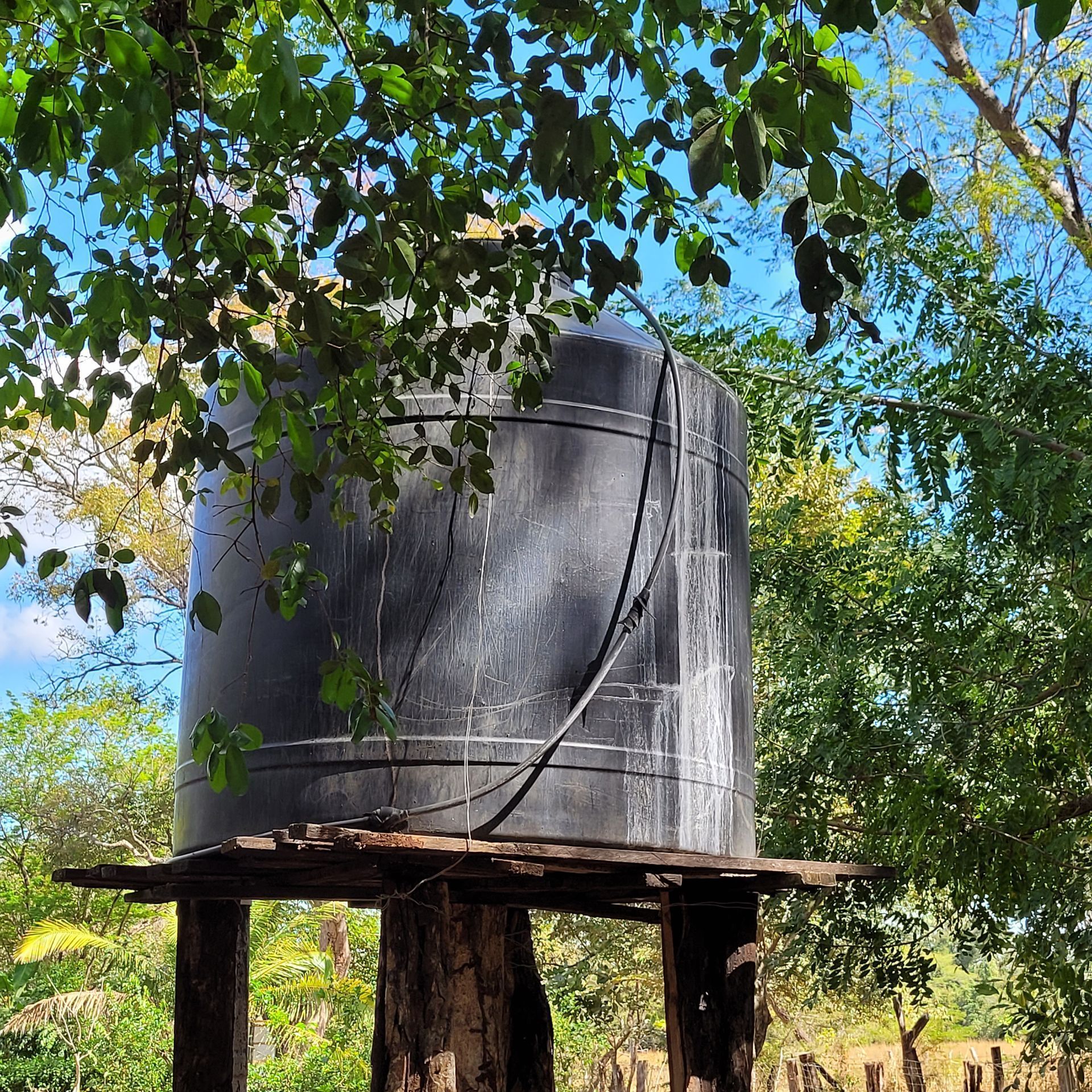 Black water tank on wooden platform, surrounded by green trees in a sunny outdoor setting.