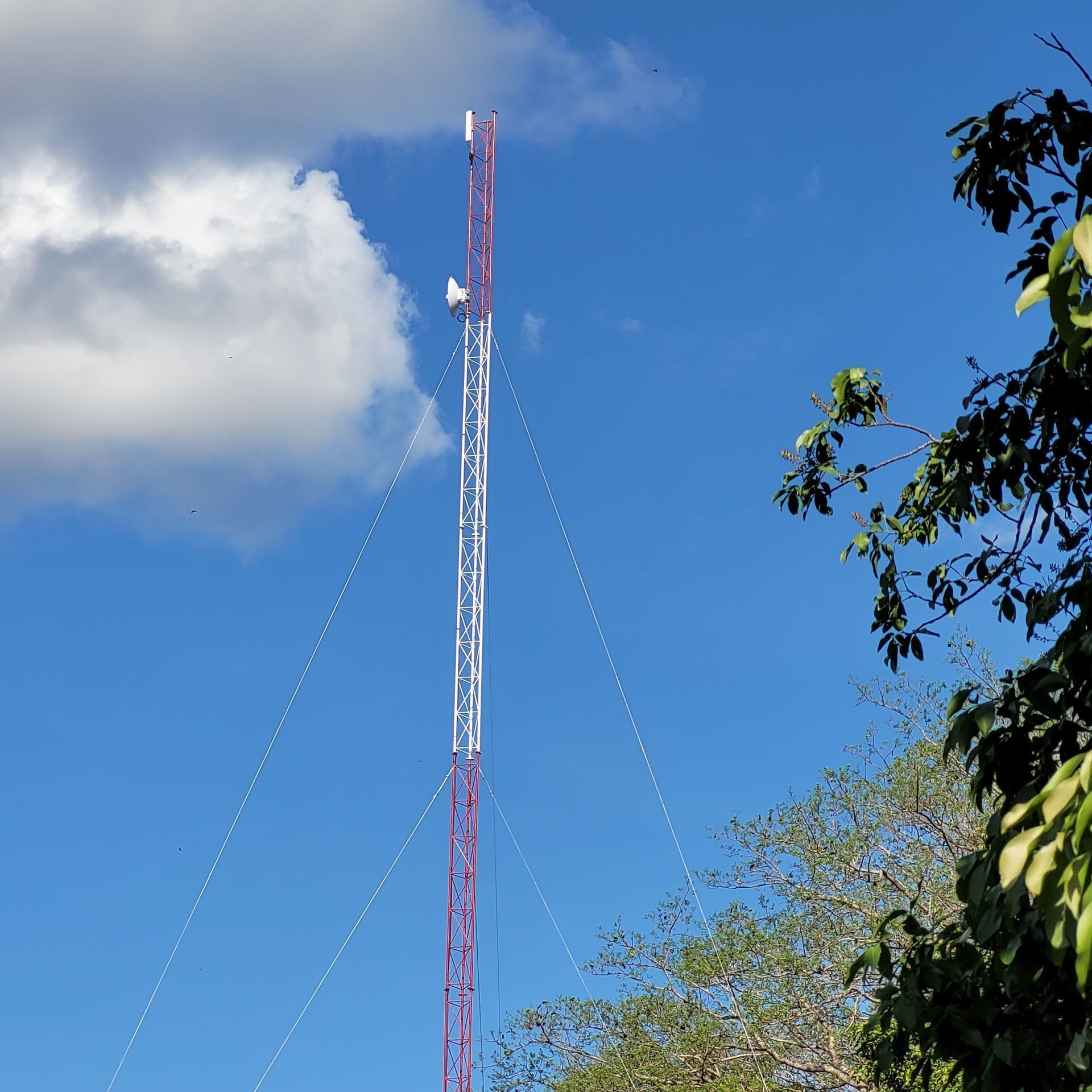 Tall communications tower against a blue sky, supported by guy wires, with trees in the right corner.