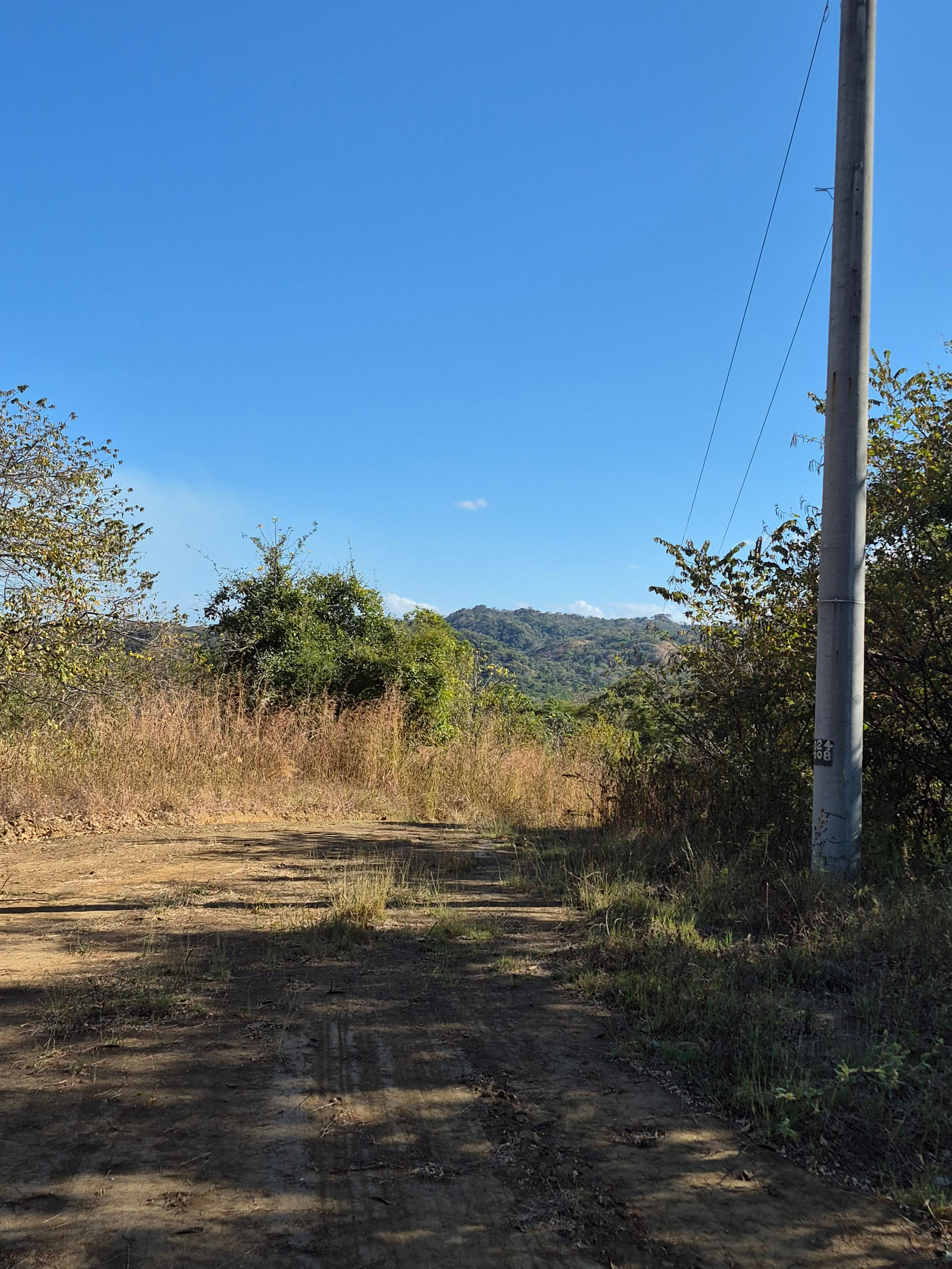 Dirt path leading to a tree-covered hillside under a blue sky, with a utility pole on the right.