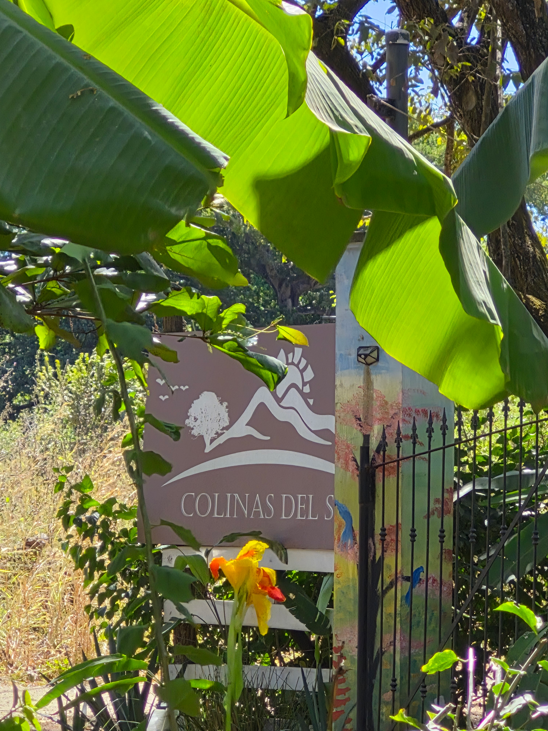 Sign with mountains and trees in front of a fence, partially obscured by banana leaves and a flower.