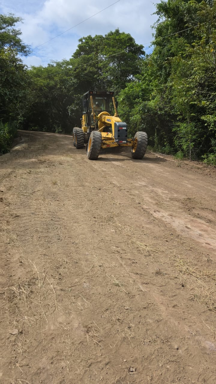 Yellow road grader on a dirt road, grading the surface. Lush green trees line the sides.