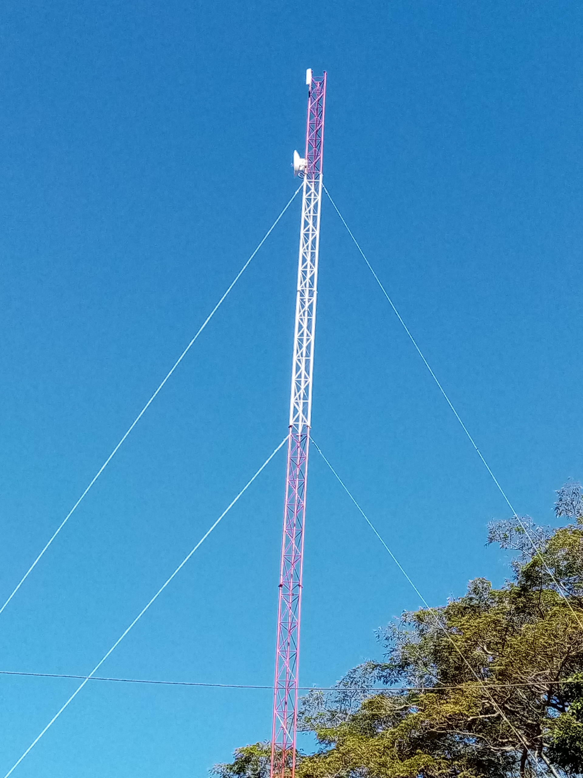 Tall telecommunications tower against a clear blue sky, secured by guy wires.