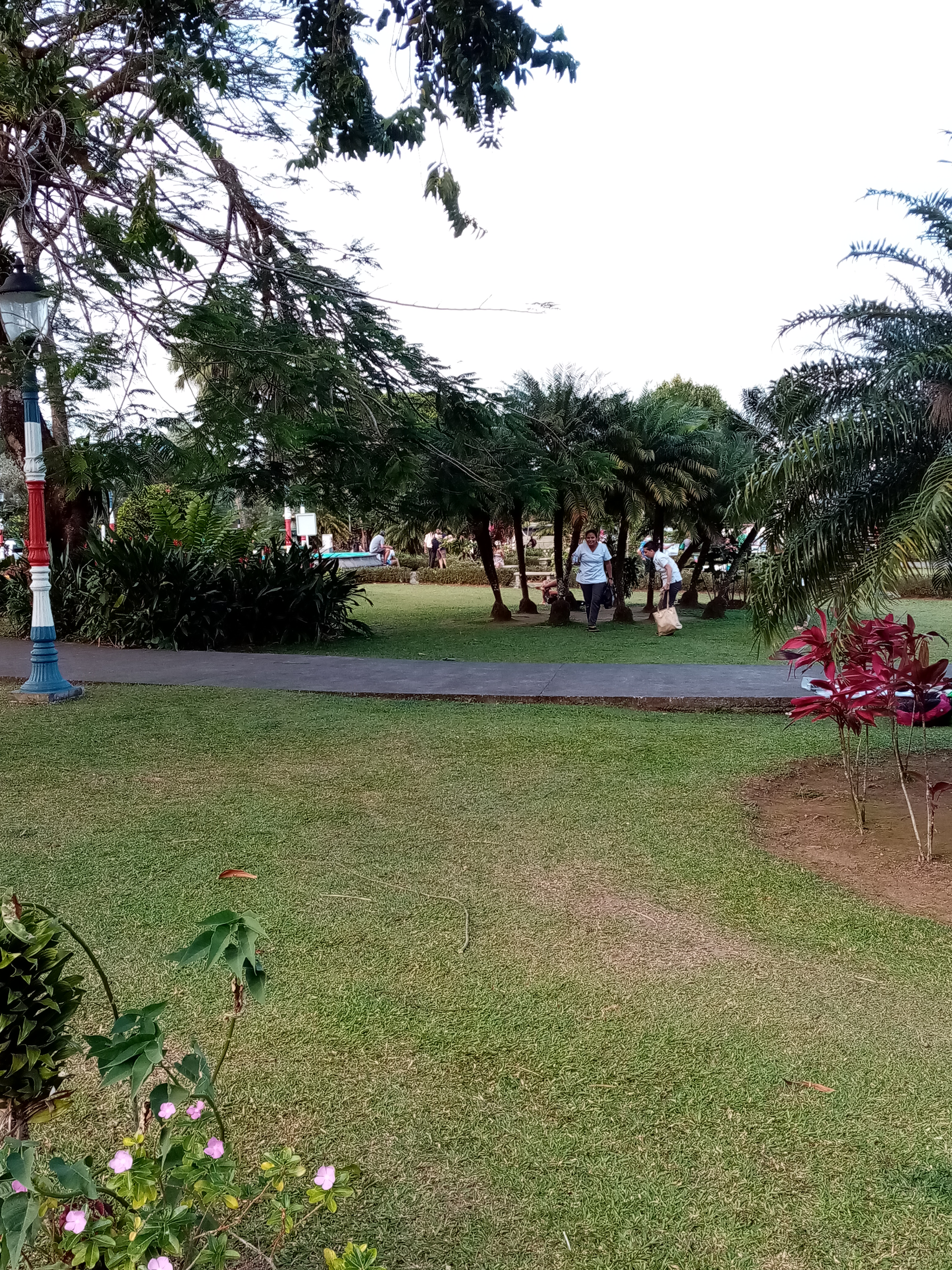 Park scene with green grass, trees, and people. A path and a light post are visible.