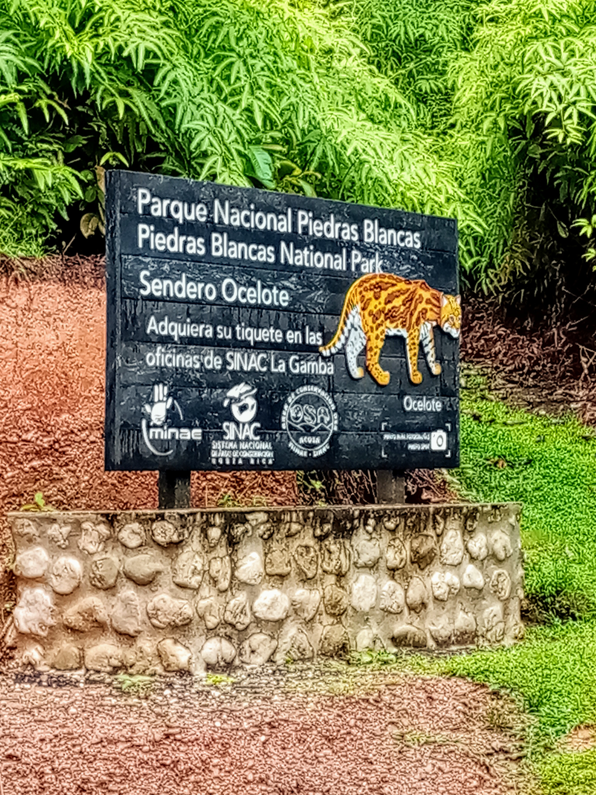 Sign for Piedras Blancas National Park, Costa Rica, featuring a jaguar illustration.