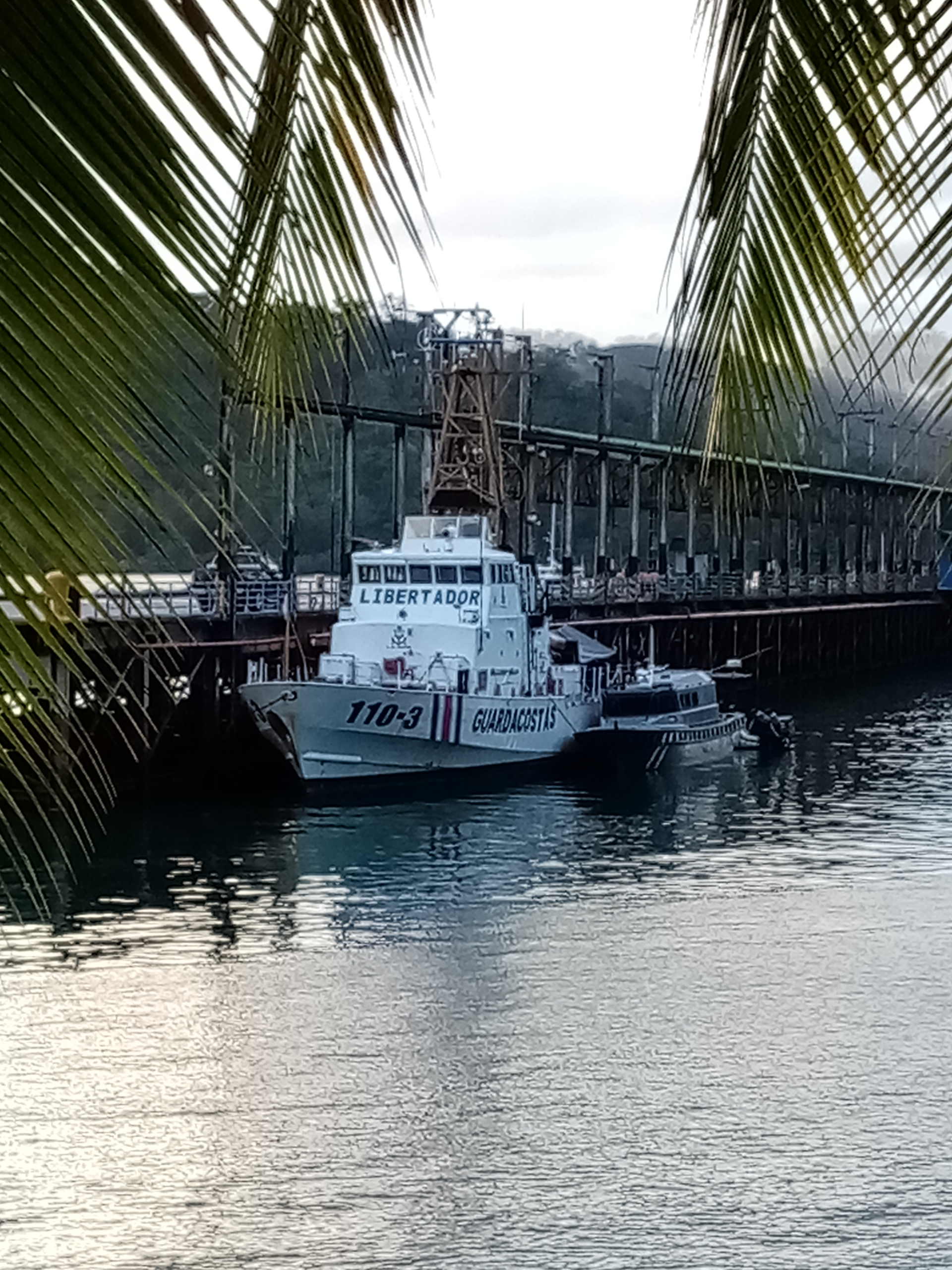 White boat docked at a pier, under a bridge. Palm leaves frame the scene. Gray sky.