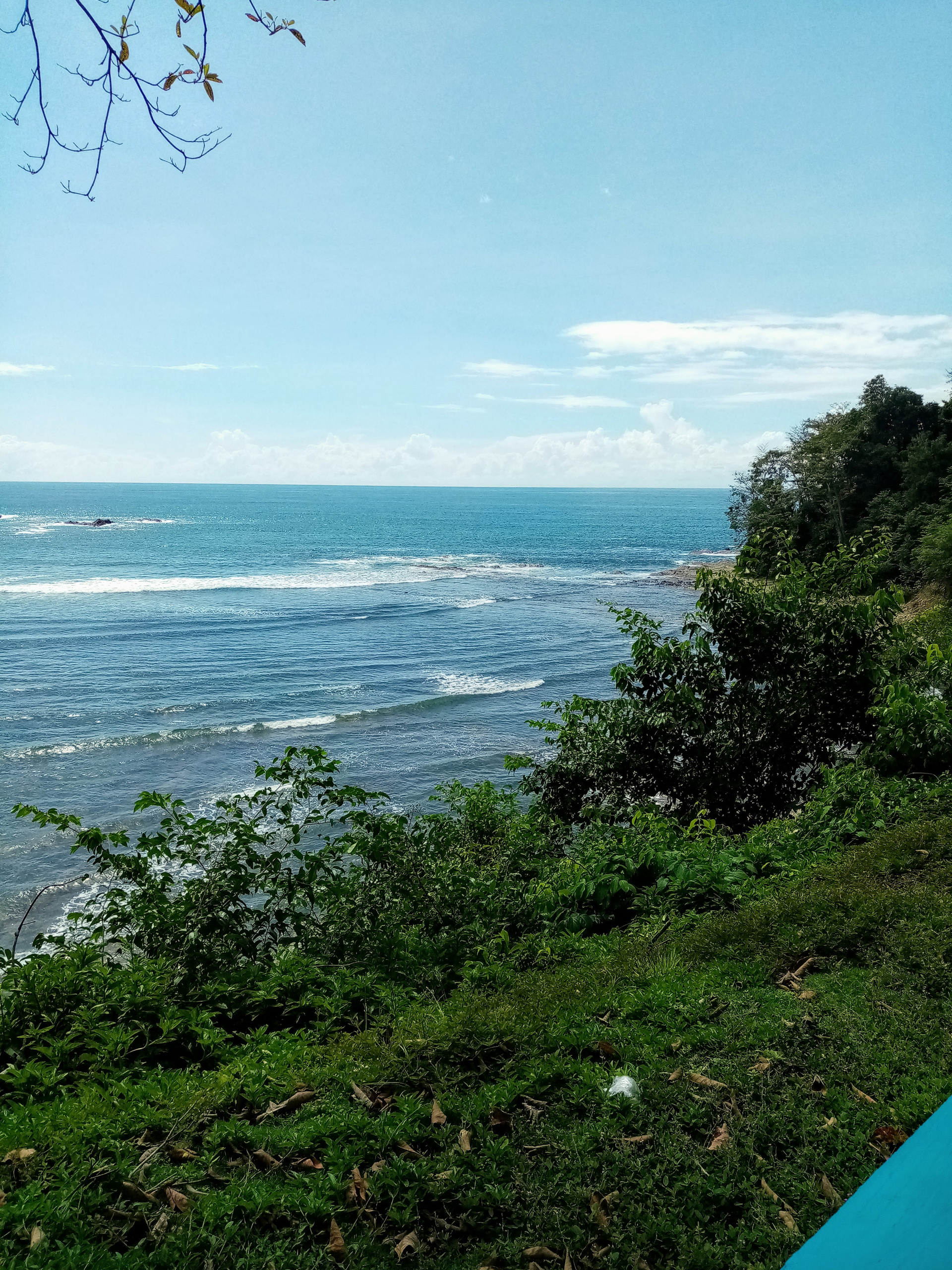 Ocean view with blue water and sky, green vegetation on a grassy bank.