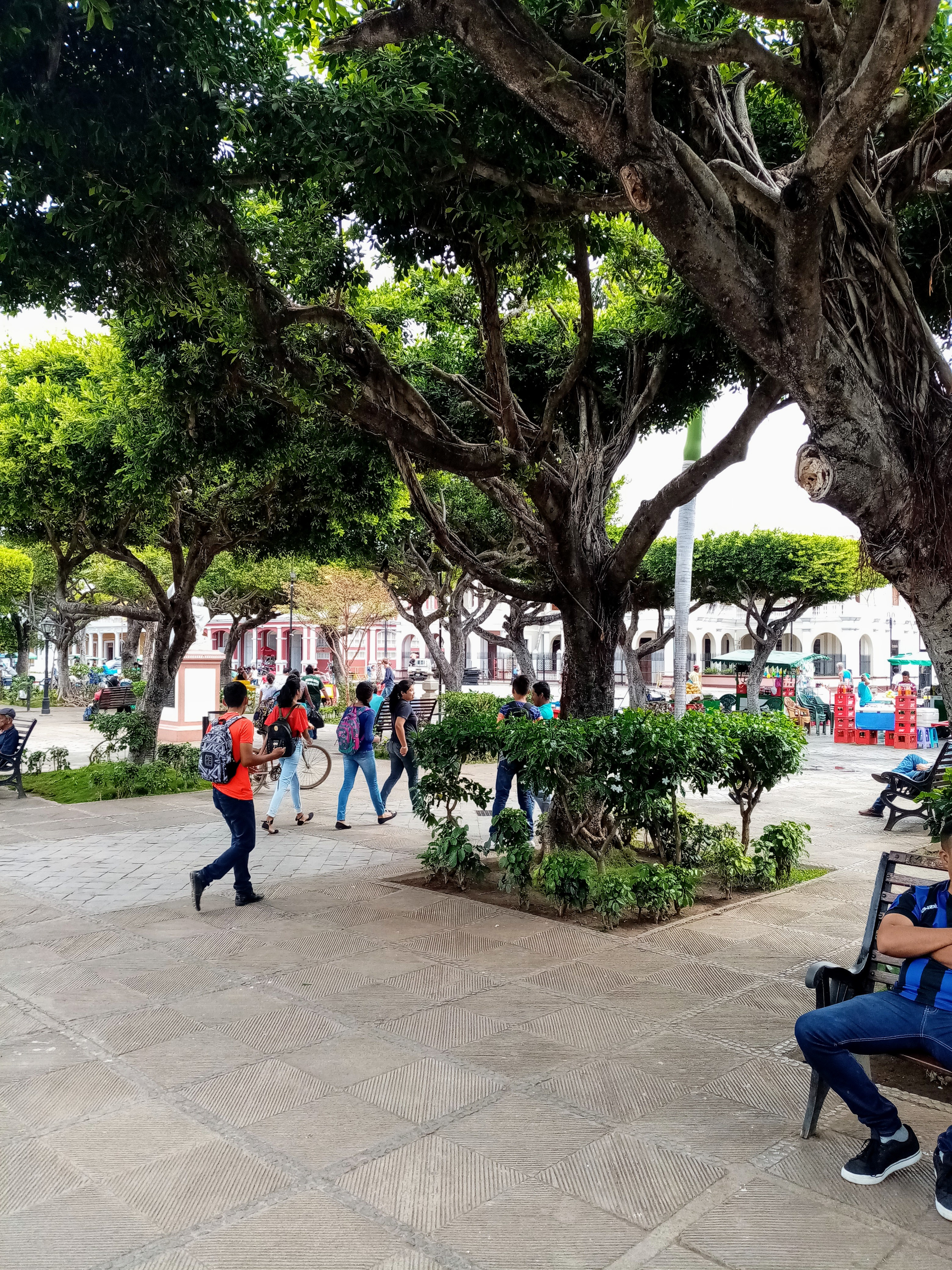 People walk in a tree-lined plaza with a patterned ground.
