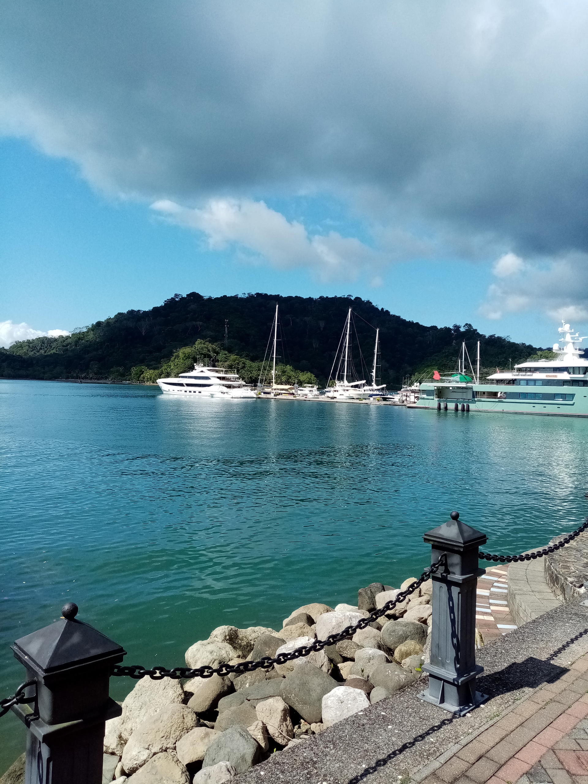 Scenic view of yachts docked at a harbor, with a forested hill in the background under a partly cloudy sky.