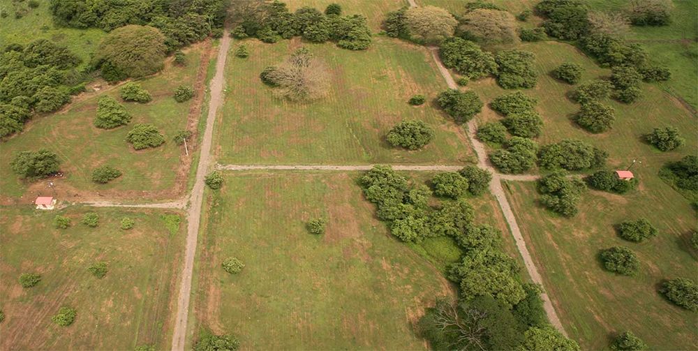 Aerial view of a grassy field with roads and trees scattered throughout. Some small buildings are visible.