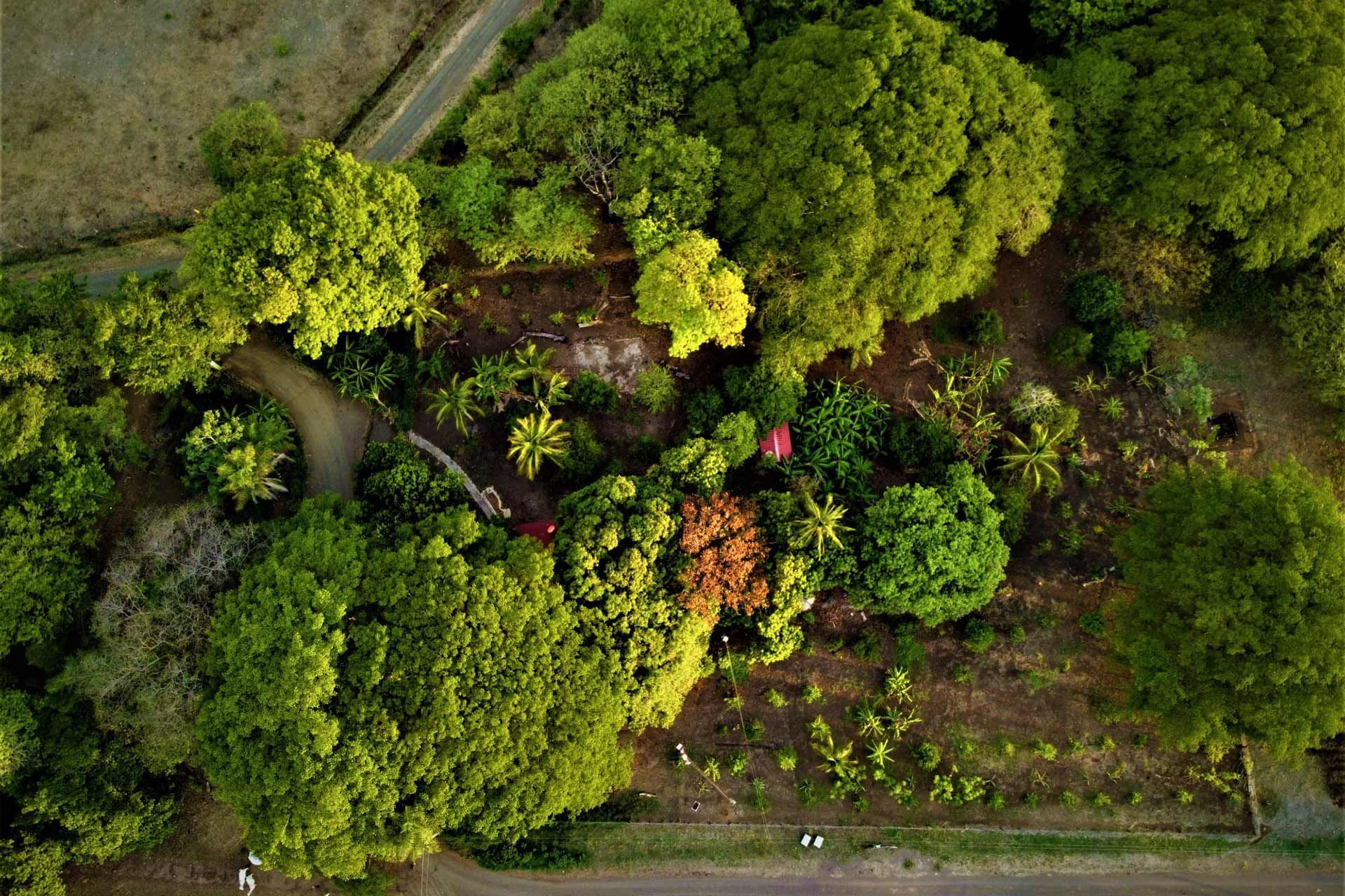 Aerial View Of Farm