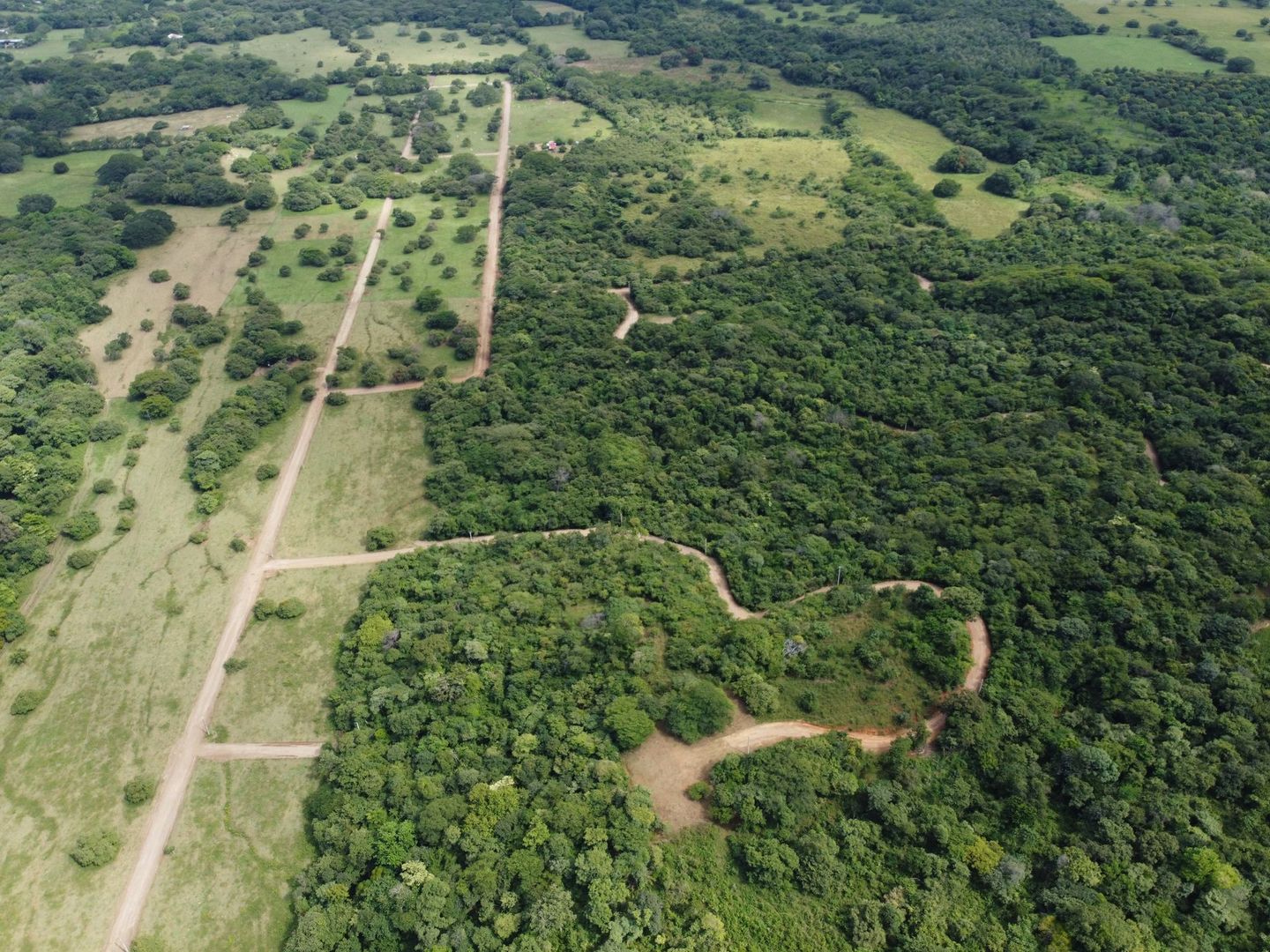 Aerial view of green forest, dirt roads, and cleared plots of land.