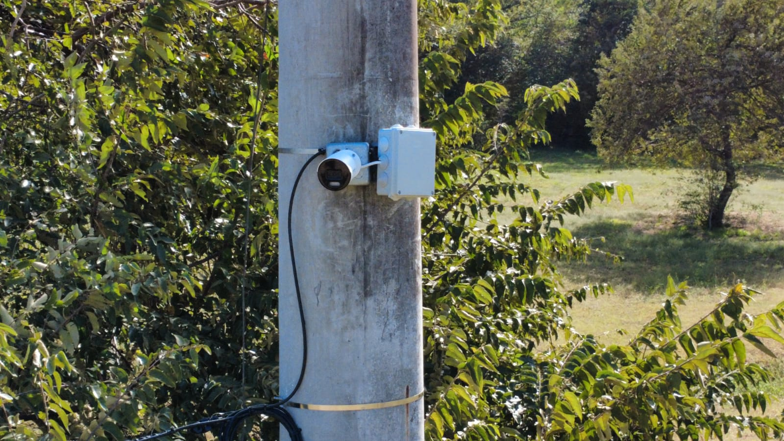 A surveillance camera and connected box mounted on a concrete utility pole in a green, outdoor setting.