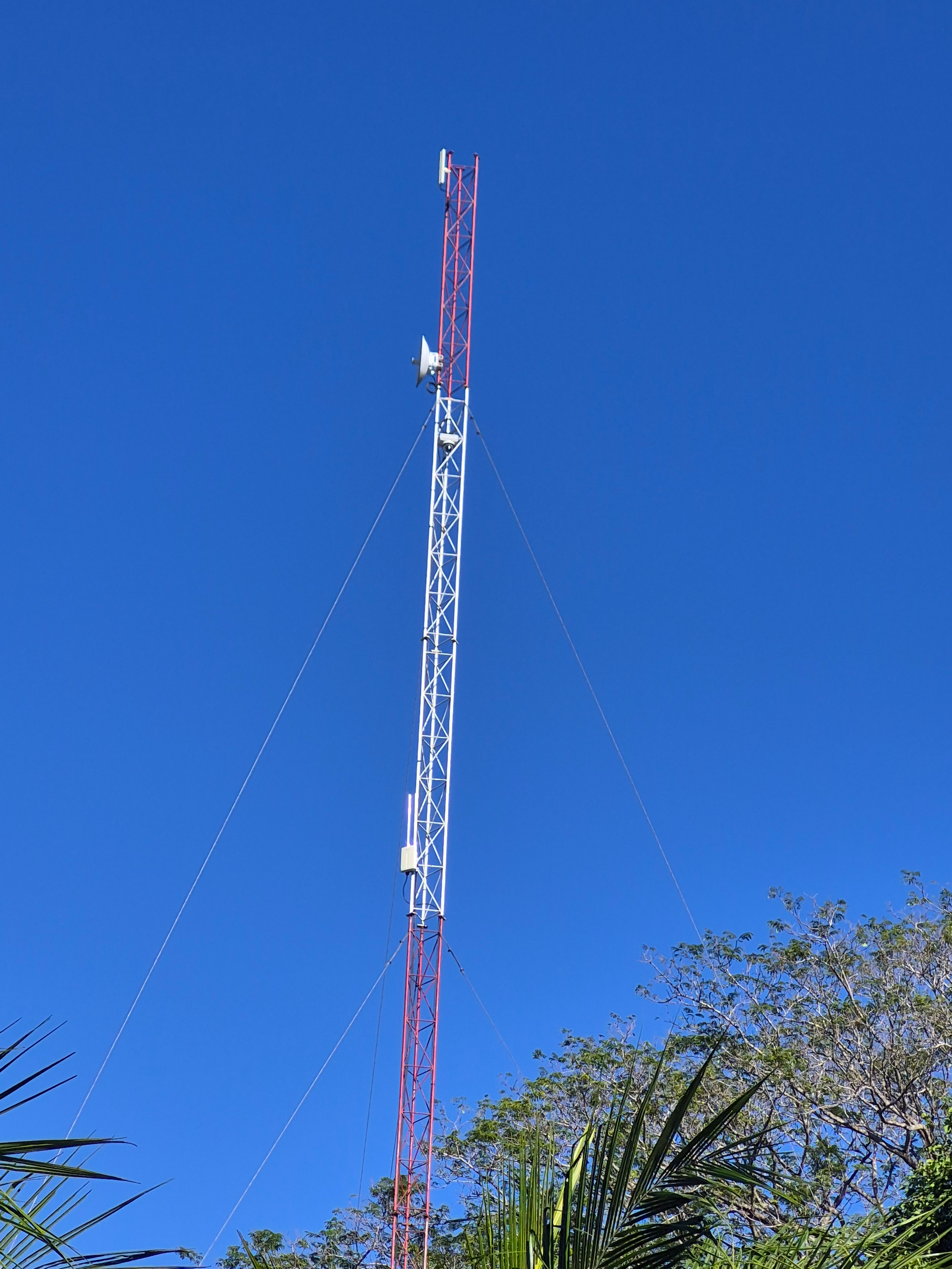 Radio tower against a clear blue sky, with support cables and trees in the foreground.