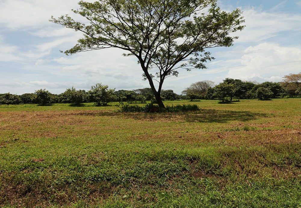 Buy Farms and Lots In Guanacaste | Guanacaste, Costa Rica | Colinas del Sol