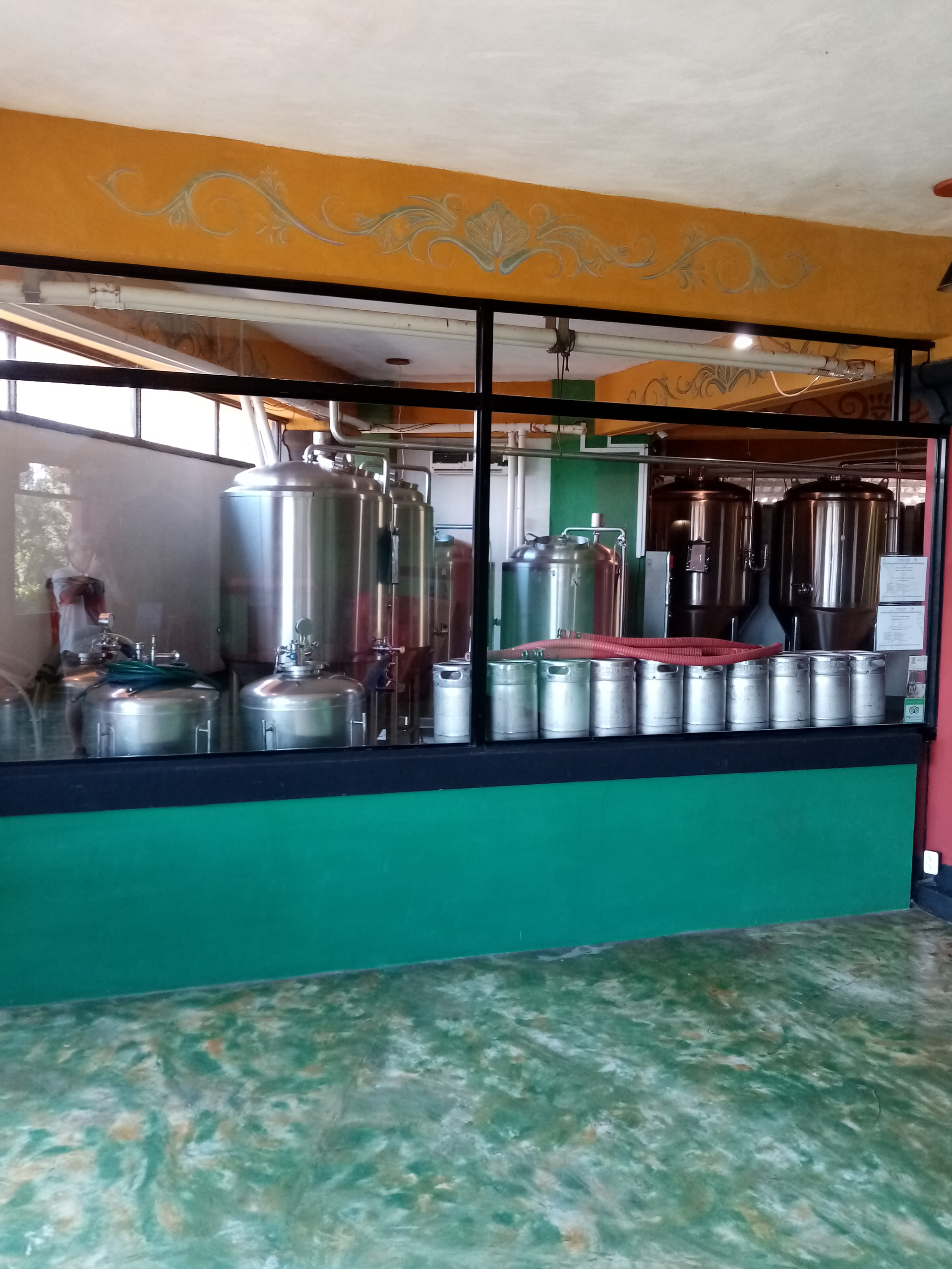 Green counter with stainless steel tanks and containers, indoors.
