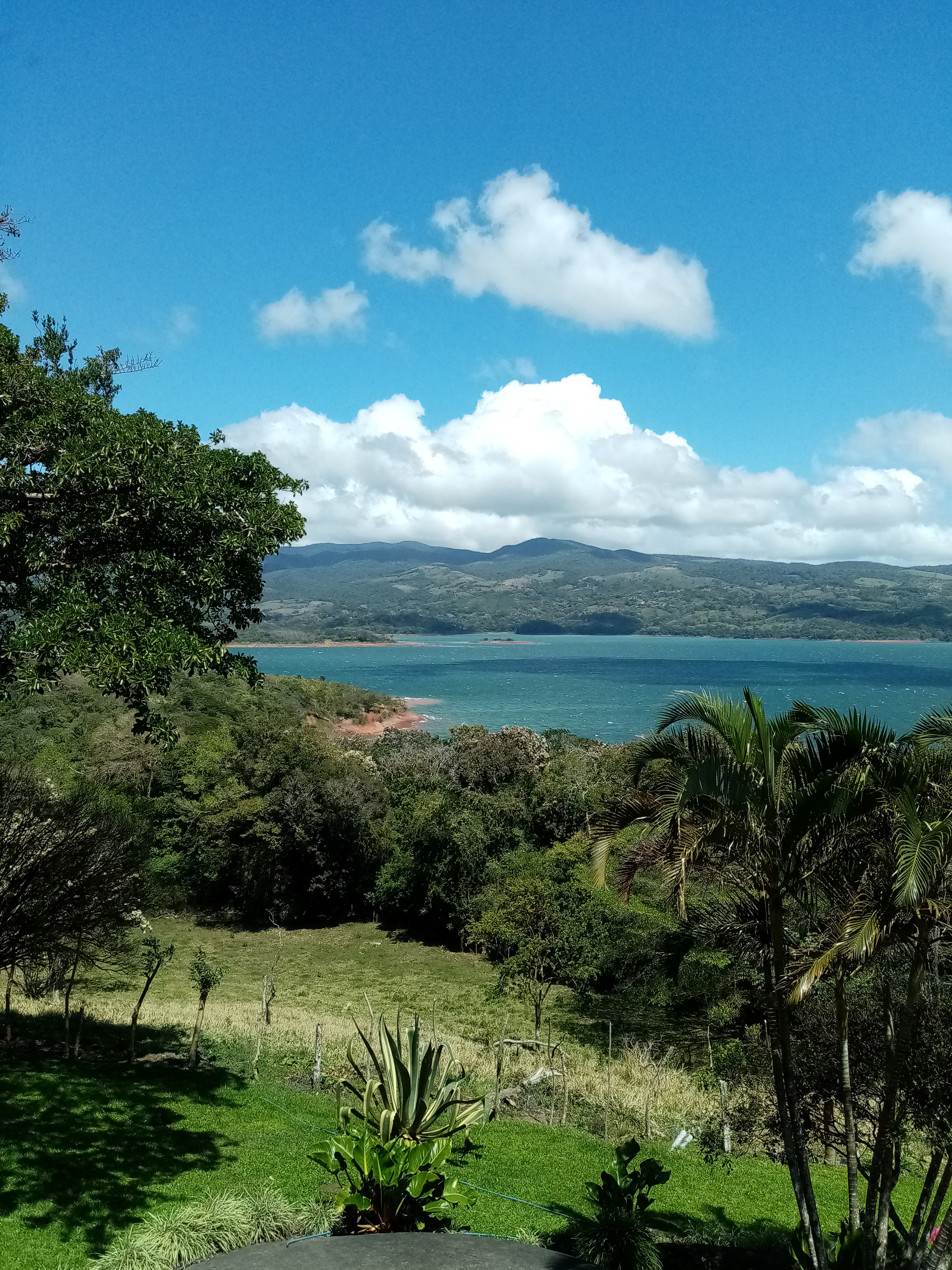 Lush green vegetation frames a lake and distant forested mountains under a partly cloudy, blue sky.