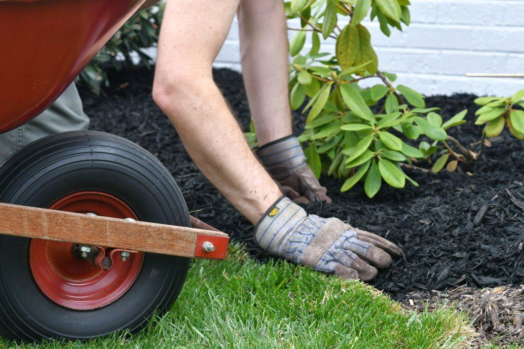 Lawn Services - Mulch