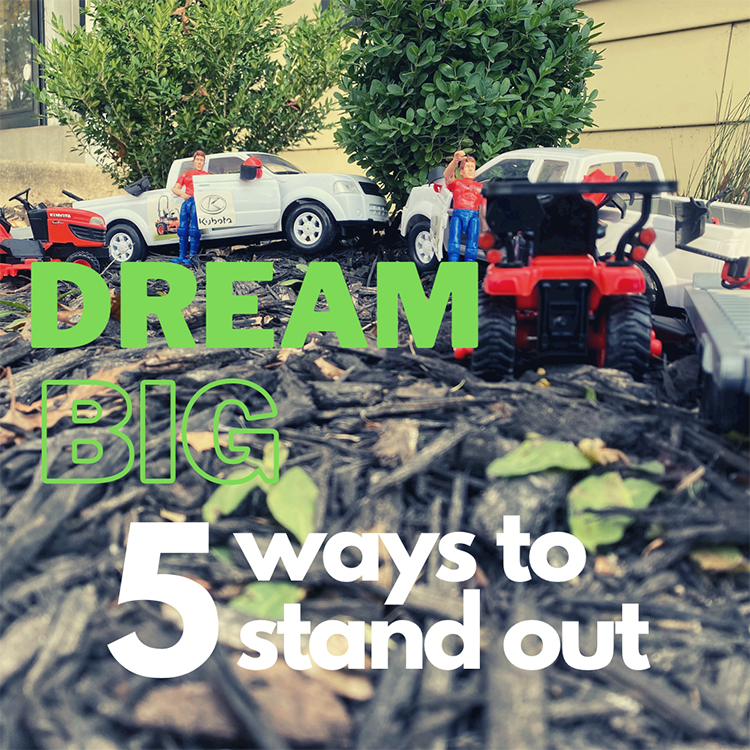 5 ways to stand out from your lawn care competitors