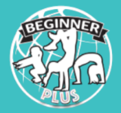 Preschool Gymnastics at Gravity Gymnastics