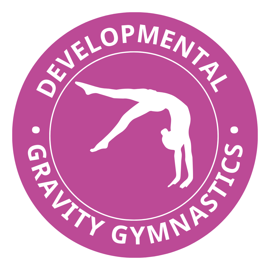 Developmental Gymnastics Team at Gravity Gymnastics