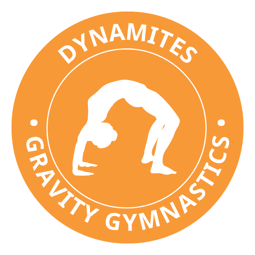 Developmental Gymnastics Team at Gravity Gymnastics