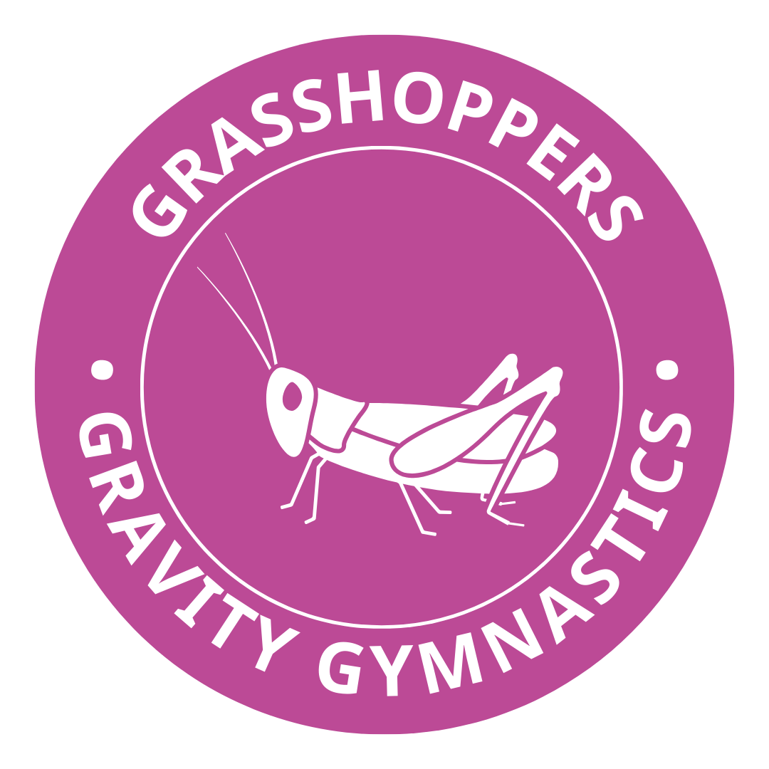 Preschool Gymnastics at Gravity Gymnastics