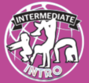 Preschool Gymnastics at Gravity Gymnastics