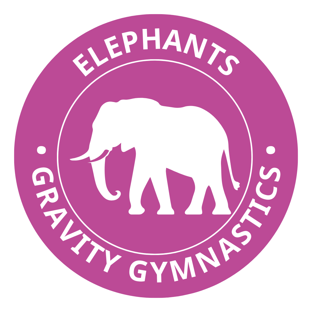 Preschool Gymnastics at Gravity Gymnastics