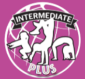 Preschool Gymnastics at Gravity Gymnastics