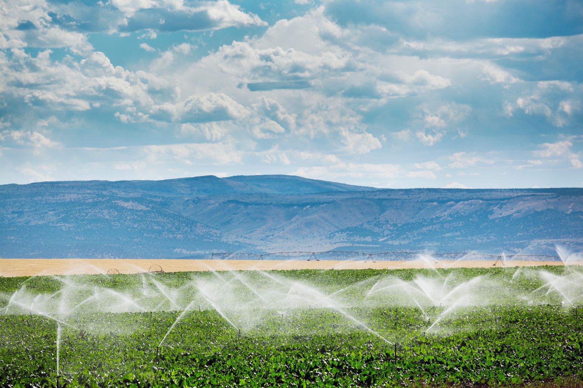 Irrigation equipment watering a farm field.