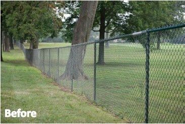 A chain link fence is surrounded by trees in a park.