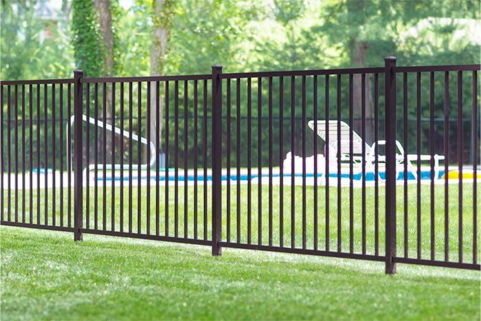 A black metal fence surrounds a swimming pool in a backyard.