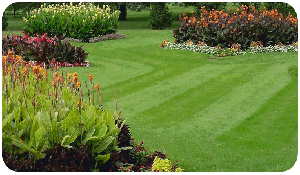 A lush green lawn with flowers and bushes in the background