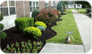 A brick house with a lush green lawn and bushes