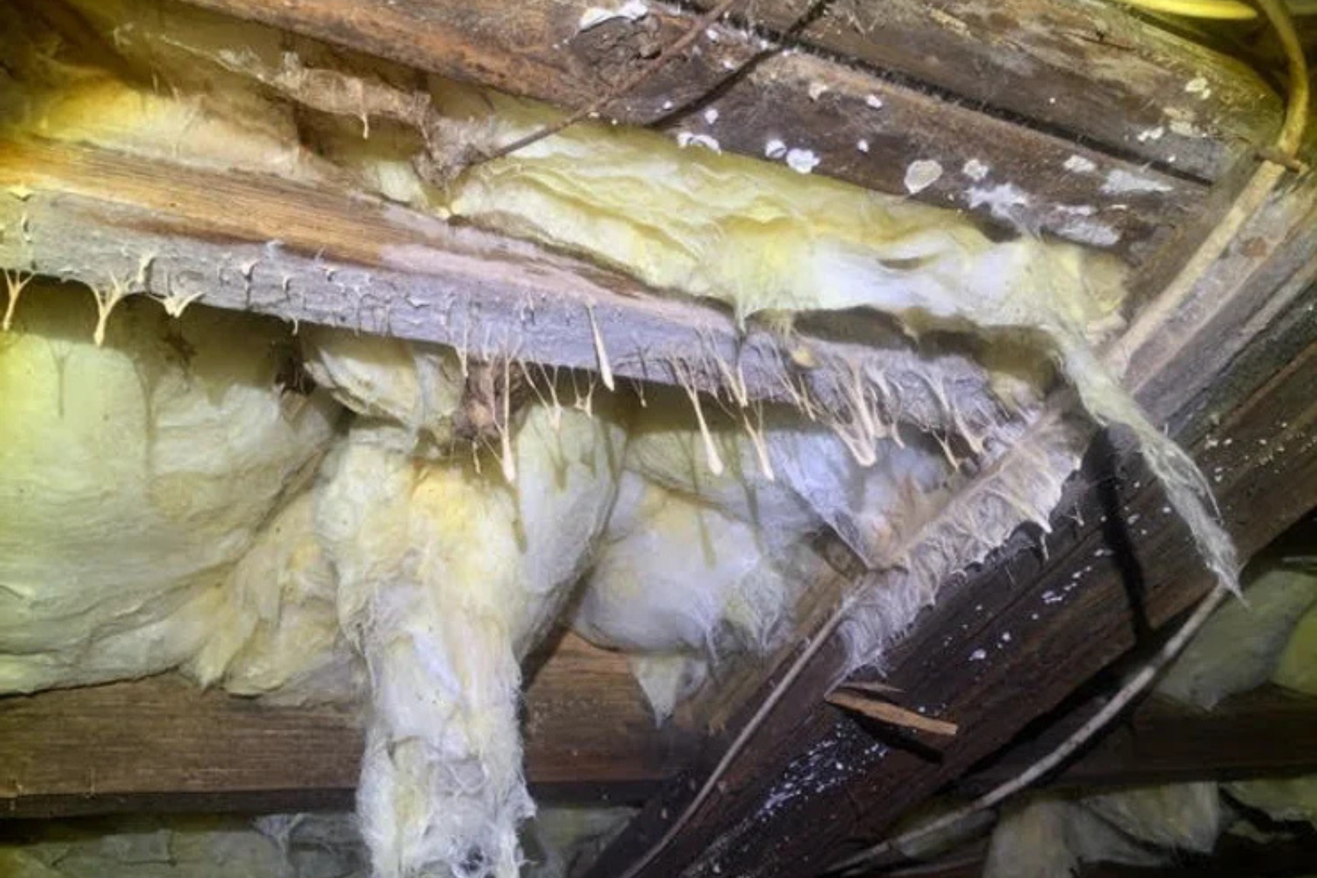 A close up of a piece of wood with insulation coming out of it.