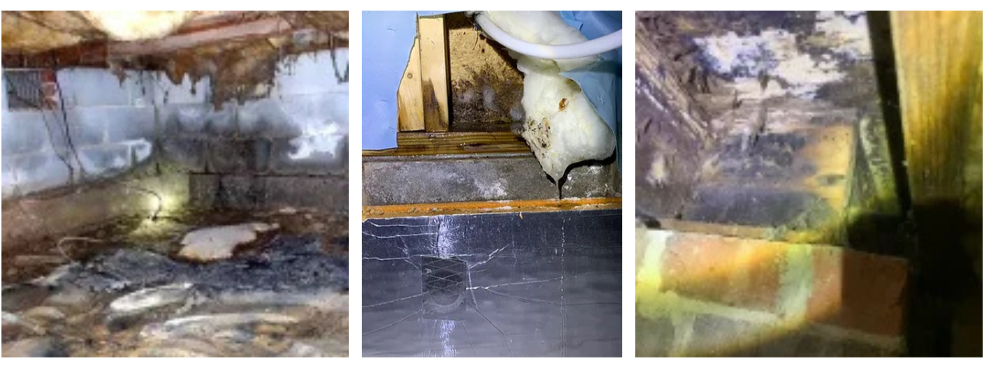 A collage of three pictures of a dirty bathroom.