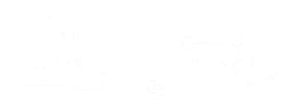 Libero