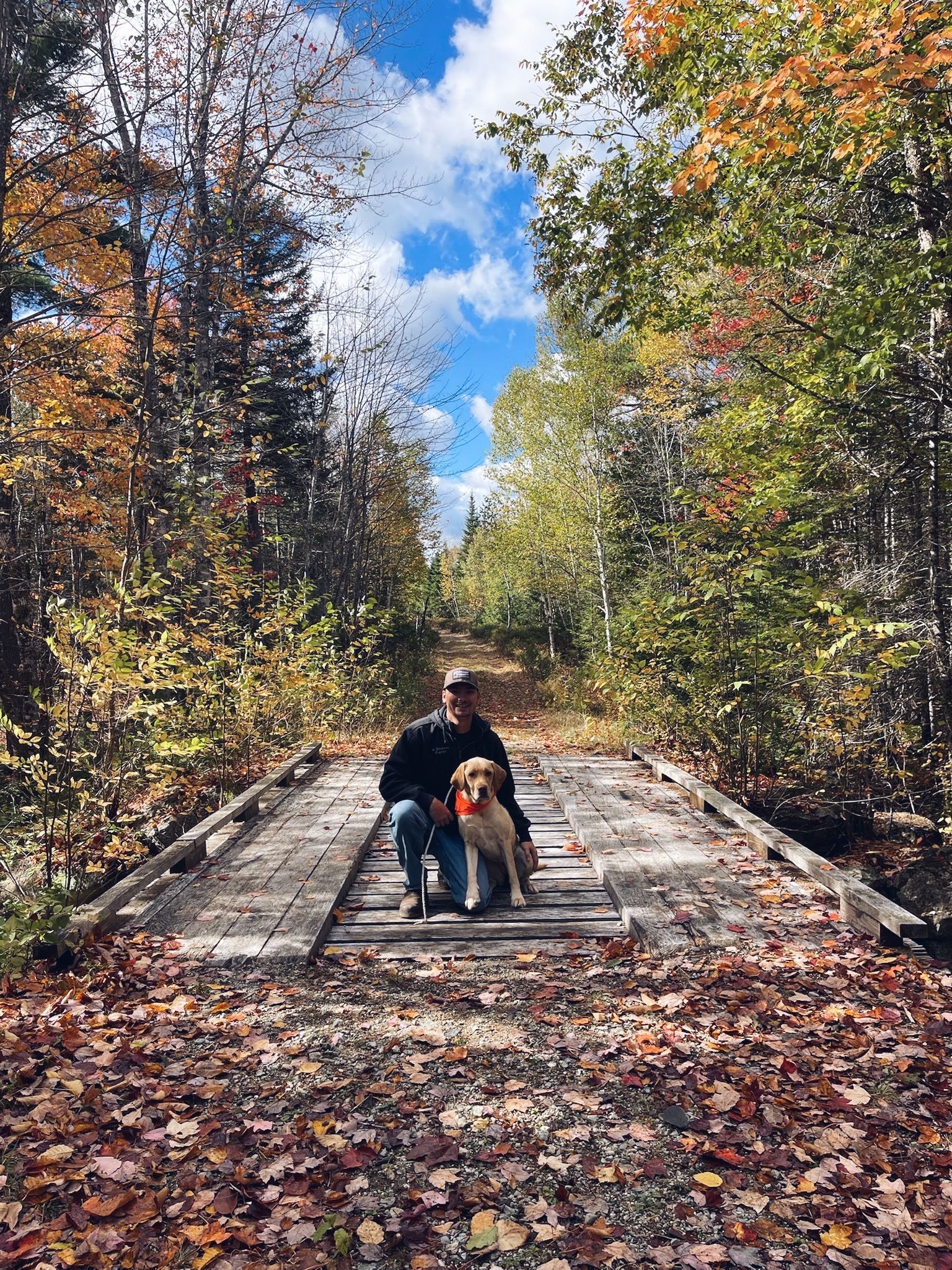 Person kneels on a wooden bridge with a dog in a fall forest.
