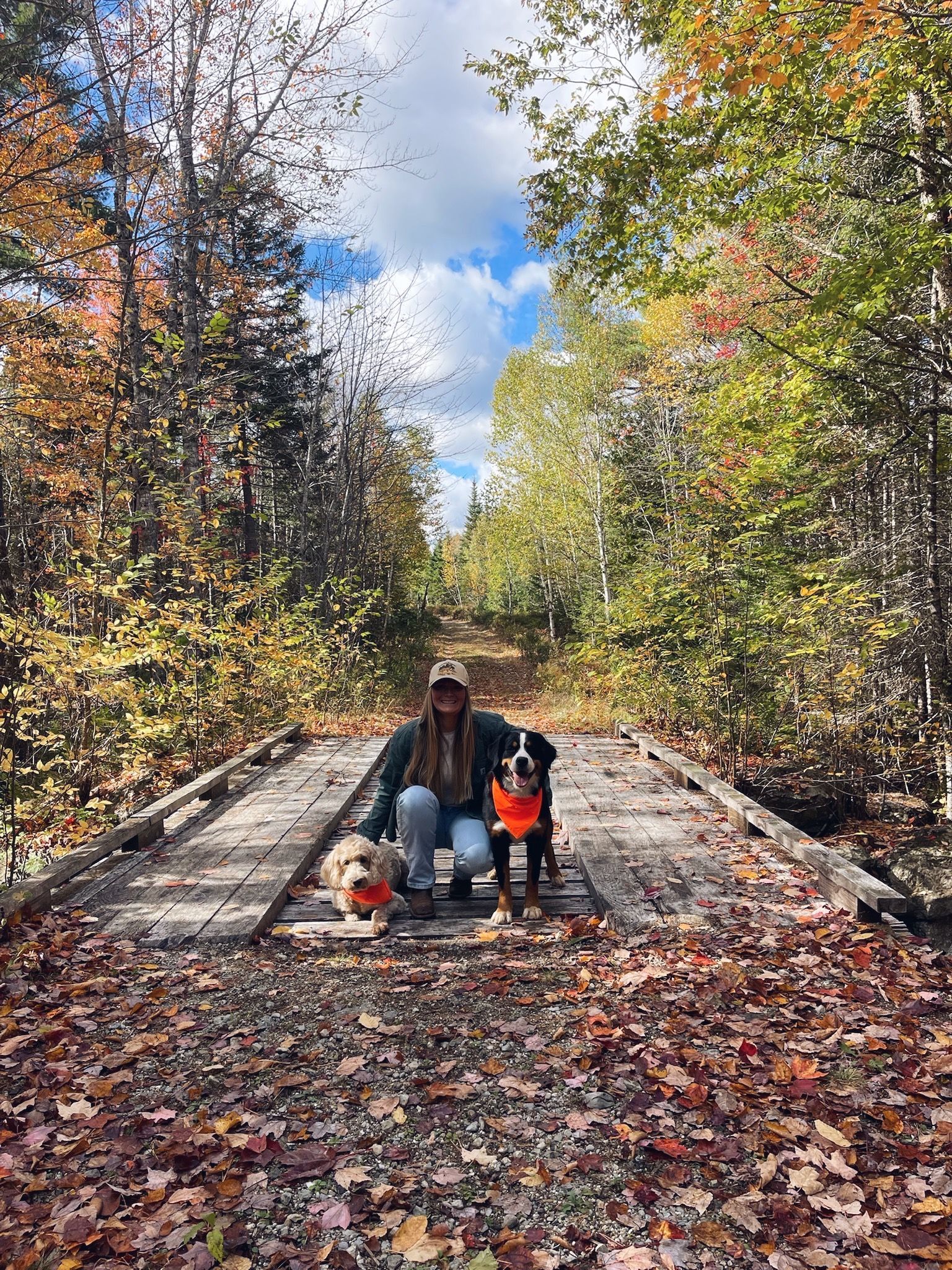 Woman and two dogs on a rustic bridge in a forest, surrounded by fall foliage.