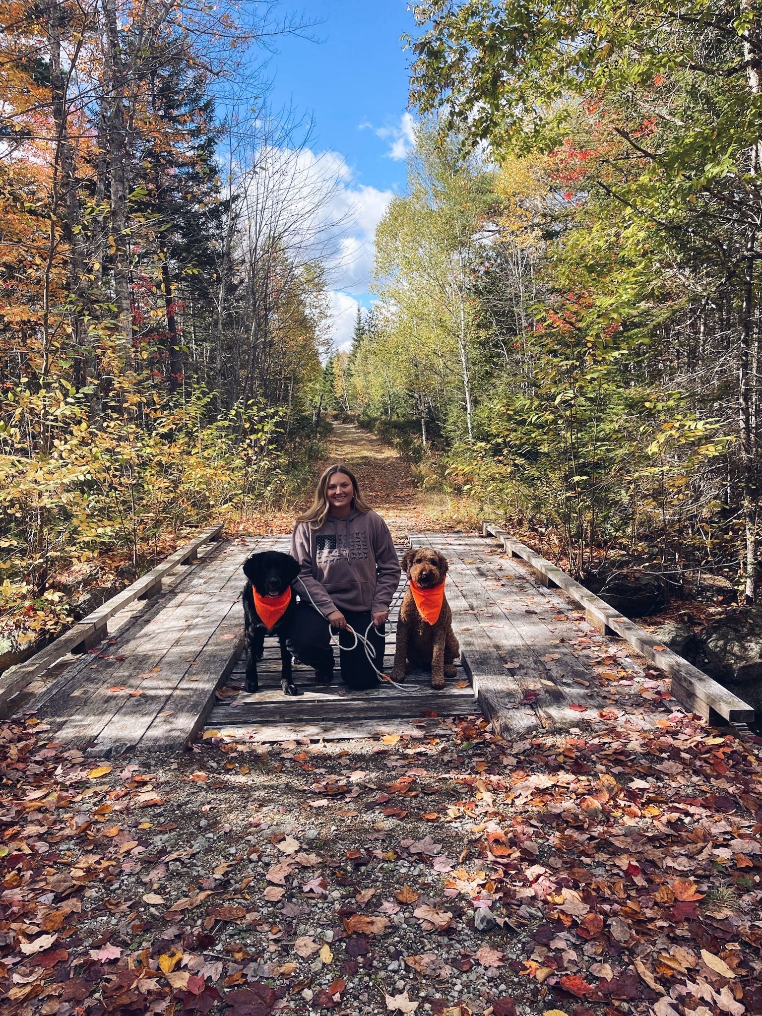 Woman and two dogs on a wooden bridge, surrounded by fall foliage.