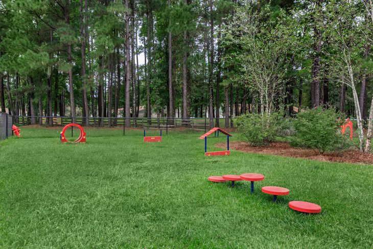 Dog park with agility equipment on green grass, surrounded by trees.