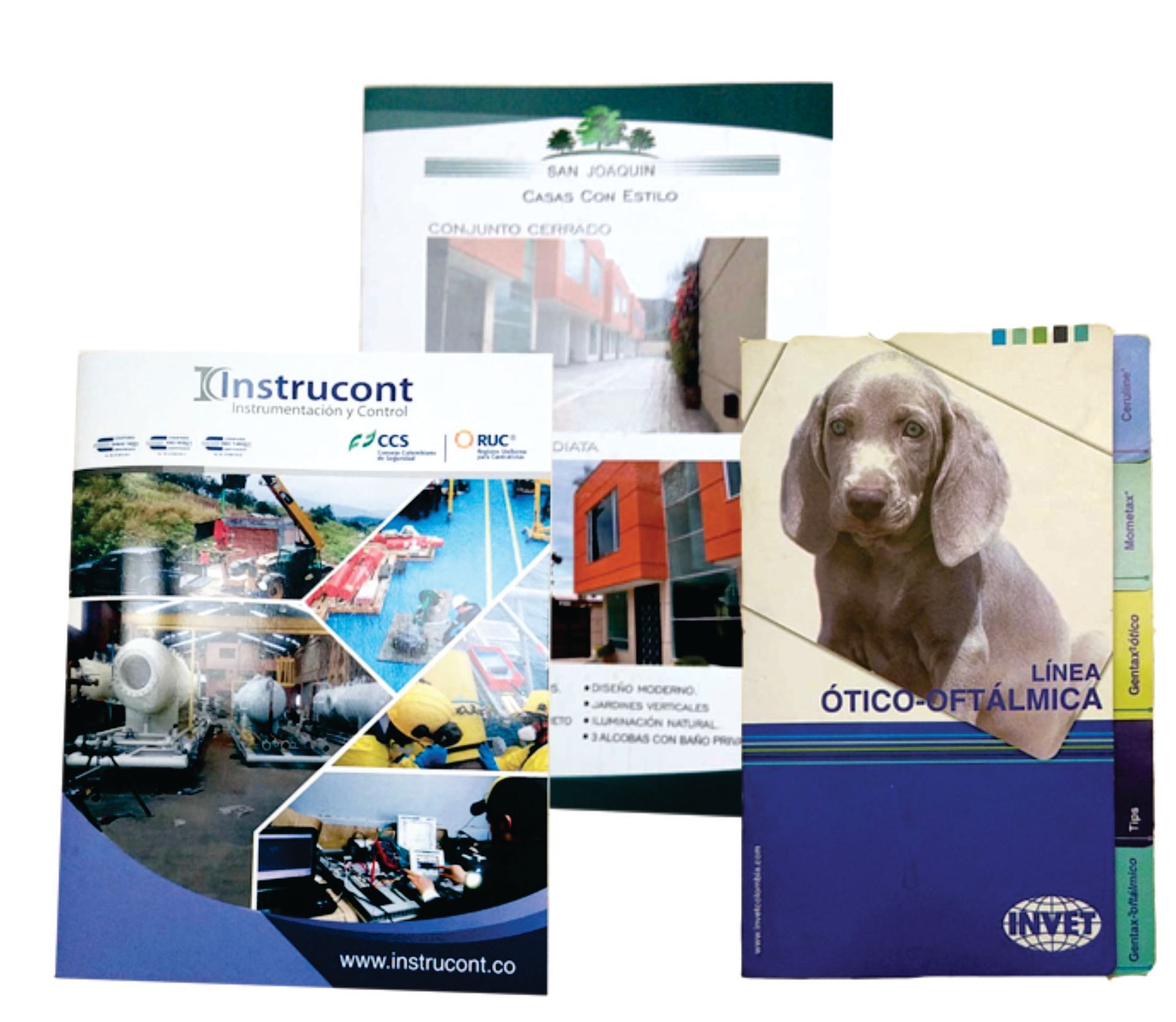 Un folleto con la imagen de un perro.