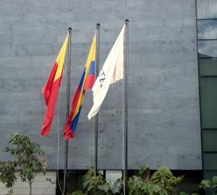 Tres banderas ondean frente a un edificio y una de ellas dice tf